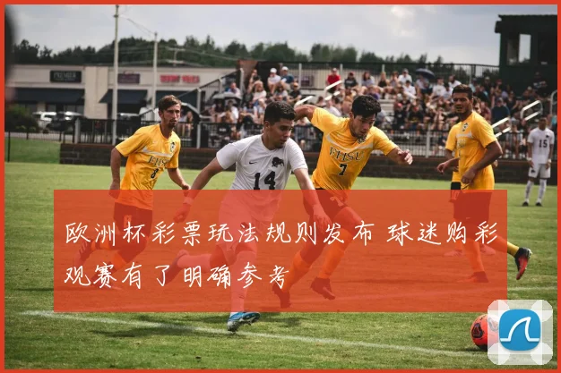 欧洲杯彩票玩法规则发布 球迷购彩观赛有了明确参考