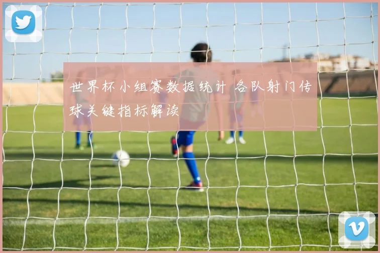 世界杯小组赛数据统计 各队射门传球关键指标解读
