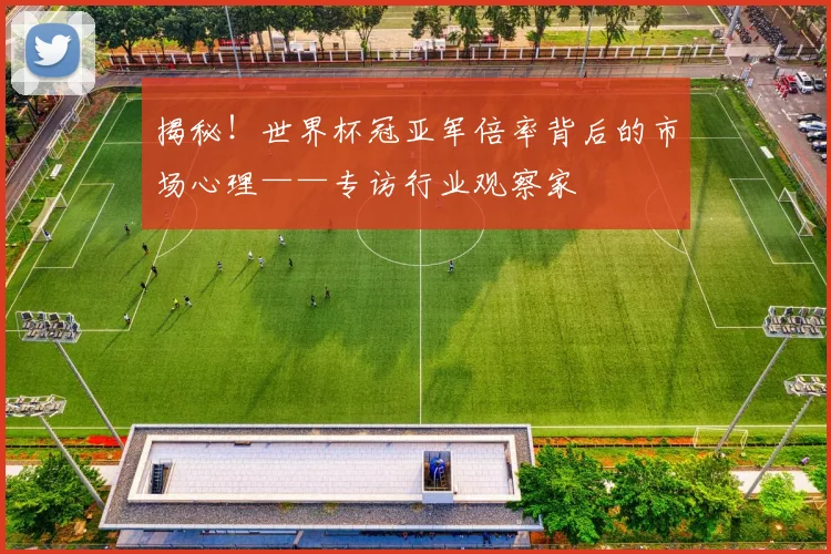揭秘！世界杯冠亚军倍率背后的市场心理——专访行业观察家