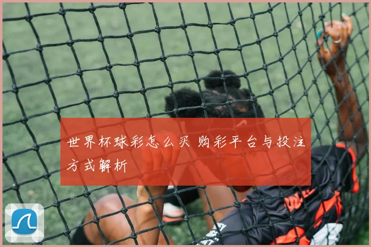 世界杯球彩怎么买 购彩平台与投注方式解析