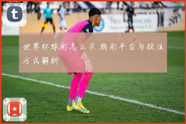 世界杯球彩怎么买 购彩平台与投注方式解析