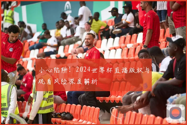 小心陷阱！2024世界杯直播版权与观看风险深度解析