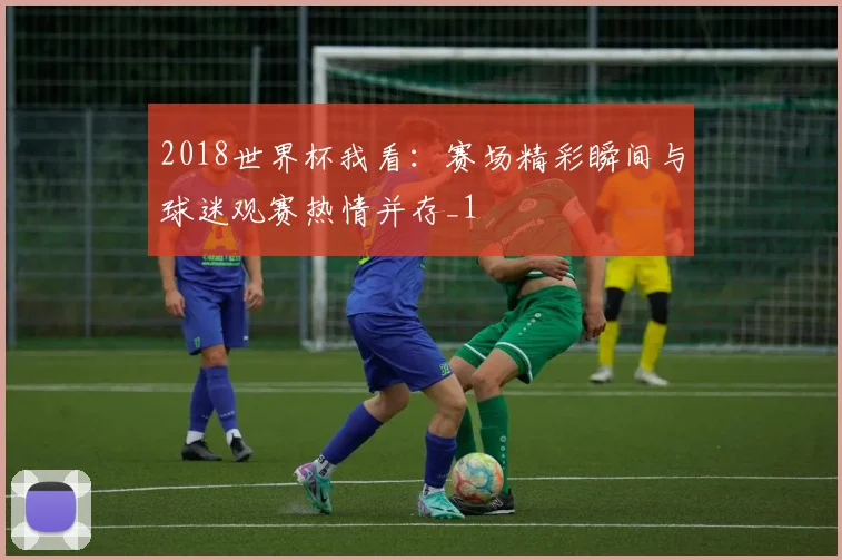 2018世界杯我看：赛场精彩瞬间与球迷观赛热情并存_1
