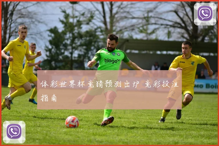 体彩世界杯竞猜预测出炉 竞彩投注指南