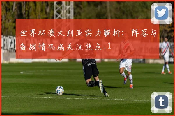 世界杯澳大利亚实力解析：阵容与备战情况成关注焦点_1