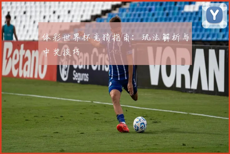 体彩世界杯竞猜指南：玩法解析与中奖技巧