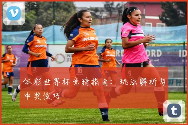 体彩世界杯竞猜指南：玩法解析与中奖技巧